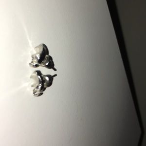 Cute elephant stud earrings!🐘